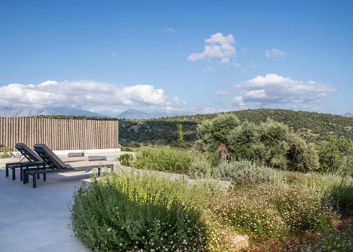 Mesogi Villas, Brand New Modern, Stylish Villas, Private Pool, Seaviews * Spartokhórion
